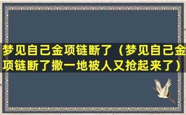 梦见自己金项链断了（梦见自己金项链断了撒一地被人又抢起来了）