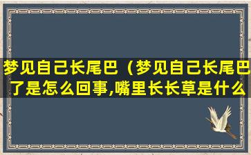 梦见自己长尾巴（梦见自己长尾巴了是怎么回事,嘴里长长草是什么意思）