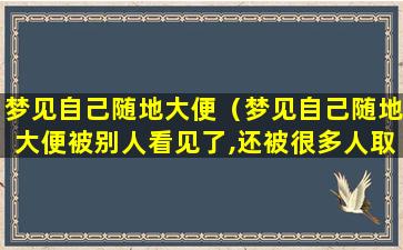 梦见自己随地大便（梦见自己随地大便被别人看见了,还被很多人取笑）