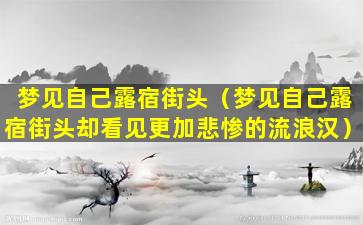 梦见自己露宿街头（梦见自己露宿街头却看见更加悲惨的流浪汉）