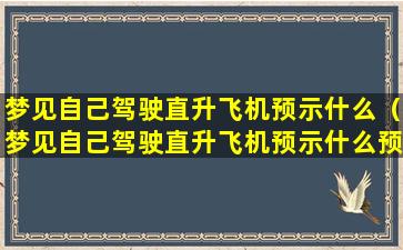 梦见自己驾驶直升飞机预示什么（梦见自己驾驶直升飞机预示什么预兆）