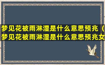 梦见花被雨淋湿是什么意思预兆（梦见花被雨淋湿是什么意思预兆女性）