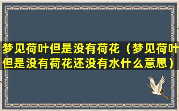 梦见荷叶但是没有荷花（梦见荷叶但是没有荷花还没有水什么意思）