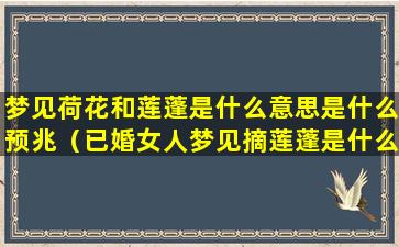 梦见荷花和莲蓬是什么意思是什么预兆（已婚女人梦见摘莲蓬是什么意思）