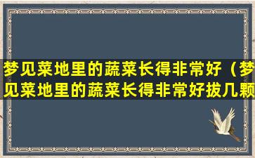 梦见菜地里的蔬菜长得非常好（梦见菜地里的蔬菜长得非常好拔几颗回家种）