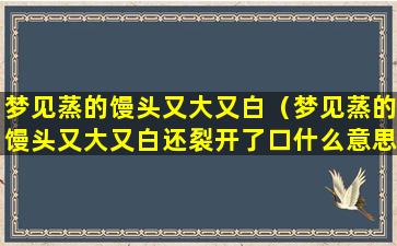 梦见蒸的馒头又大又白（梦见蒸的馒头又大又白还裂开了口什么意思）