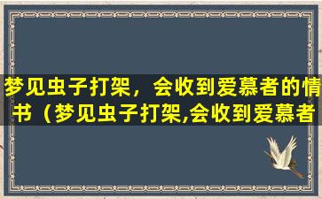 梦见虫子打架，会收到爱慕者的情书（梦见虫子打架,会收到爱慕者的情书）