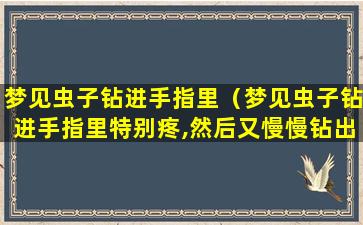 梦见虫子钻进手指里（梦见虫子钻进手指里特别疼,然后又慢慢钻出来）