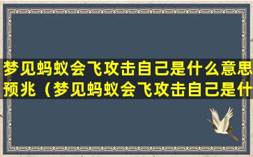 梦见蚂蚁会飞攻击自己是什么意思预兆（梦见蚂蚁会飞攻击自己是什么意思预兆解梦）