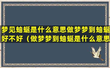 梦见蚰蜒是什么意思做梦梦到蚰蜒好不好（做梦梦到蚰蜒是什么意思女的）