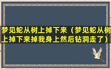 梦见蛇从树上掉下来（梦见蛇从树上掉下来掉我身上然后钻洞走了）