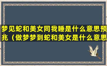 梦见蛇和美女同我睡是什么意思预兆（做梦梦到蛇和美女是什么意思）