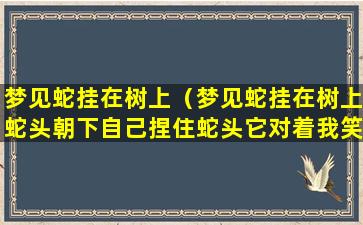 梦见蛇挂在树上（梦见蛇挂在树上蛇头朝下自己捏住蛇头它对着我笑）