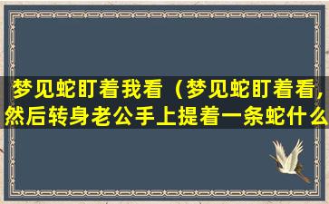 梦见蛇盯着我看（梦见蛇盯着看,然后转身老公手上提着一条蛇什么意思）