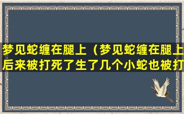 梦见蛇缠在腿上（梦见蛇缠在腿上后来被打死了生了几个小蛇也被打死）