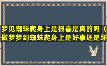 梦见蜘蛛爬身上是报喜是真的吗（做梦梦到蜘蛛爬身上是好事还是坏事）