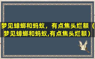 梦见蟑螂和蚂蚁，有点焦头烂额（梦见蟑螂和蚂蚁,有点焦头烂额）