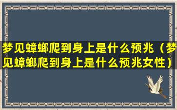 梦见蟑螂爬到身上是什么预兆（梦见蟑螂爬到身上是什么预兆女性）