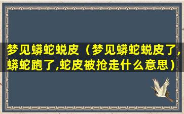 梦见蟒蛇蜕皮（梦见蟒蛇蜕皮了,蟒蛇跑了,蛇皮被抢走什么意思）