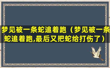 梦见被一条蛇追着跑（梦见被一条蛇追着跑,最后又把蛇给打伤了）