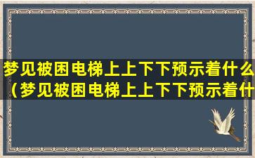 梦见被困电梯上上下下预示着什么（梦见被困电梯上上下下预示着什么预兆）