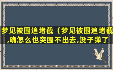 梦见被围追堵截（梦见被围追堵截,确怎么也突围不出去,没子弹了）