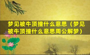 梦见被牛顶撞什么意思（梦见被牛顶撞什么意思周公解梦）