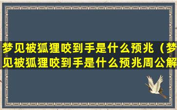 梦见被狐狸咬到手是什么预兆（梦见被狐狸咬到手是什么预兆周公解梦）