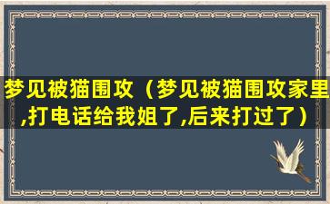 梦见被猫围攻（梦见被猫围攻家里,打电话给我姐了,后来打过了）