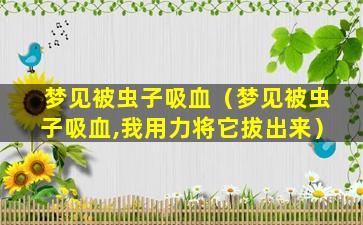 梦见被虫子吸血（梦见被虫子吸血,我用力将它拔出来）