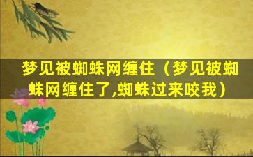 梦见被蜘蛛网缠住（梦见被蜘蛛网缠住了,蜘蛛过来咬我）