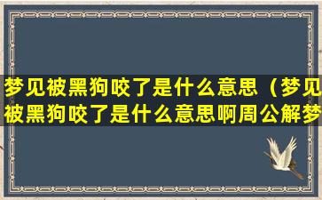 梦见被黑狗咬了是什么意思（梦见被黑狗咬了是什么意思啊周公解梦）