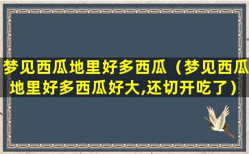 梦见西瓜地里好多西瓜（梦见西瓜地里好多西瓜好大,还切开吃了）