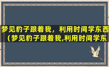 梦见豹子跟着我，利用时间学东西（梦见豹子跟着我,利用时间学东西）