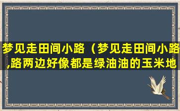 梦见走田间小路（梦见走田间小路,路两边好像都是绿油油的玉米地）