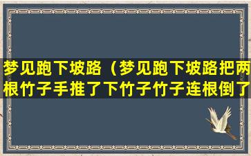 梦见跑下坡路（梦见跑下坡路把两根竹子手推了下竹子竹子连根倒了）