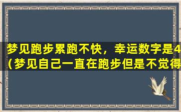 梦见跑步累跑不快，幸运数字是4（梦见自己一直在跑步但是不觉得累）