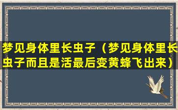 梦见身体里长虫子（梦见身体里长虫子而且是活最后变黄蜂飞出来）