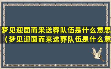 梦见迎面而来送葬队伍是什么意思（梦见迎面而来送葬队伍是什么意思啊）