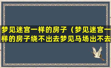 梦见迷宫一样的房子（梦见迷宫一样的房子绕不出去梦见马场出不去）