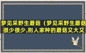 梦见采野生蘑菇（梦见采野生蘑菇很少很少,别人家种的蘑菇又大又多）