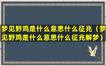 梦见野鸡是什么意思什么征兆（梦见野鸡是什么意思什么征兆解梦）