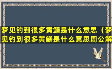 梦见钓到很多黄鳝是什么意思（梦见钓到很多黄鳝是什么意思周公解梦）