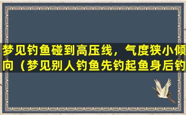 梦见钓鱼碰到高压线，气度狭小倾向（梦见别人钓鱼先钓起鱼身后钓起鱼头）