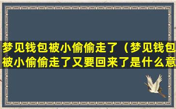 梦见钱包被小偷偷走了（梦见钱包被小偷偷走了又要回来了是什么意思）