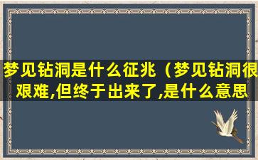 梦见钻洞是什么征兆（梦见钻洞很艰难,但终于出来了,是什么意思）