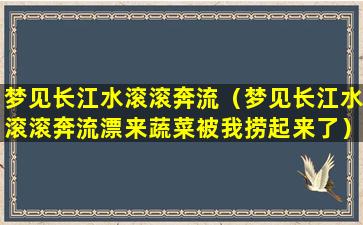 梦见长江水滚滚奔流（梦见长江水滚滚奔流漂来蔬菜被我捞起来了）