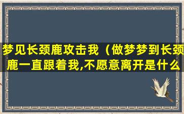 梦见长颈鹿攻击我（做梦梦到长颈鹿一直跟着我,不愿意离开是什么意思）