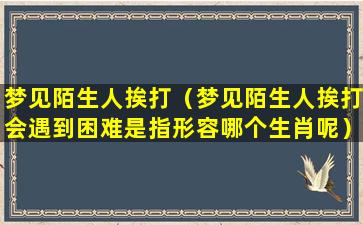 梦见陌生人挨打（梦见陌生人挨打会遇到困难是指形容哪个生肖呢）