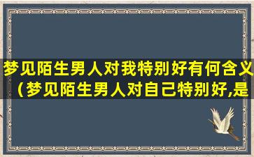 梦见陌生男人对我特别好有何含义（梦见陌生男人对自己特别好,是什么梦）